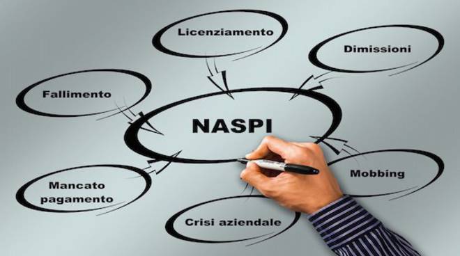 consulenti-lavoro-torino